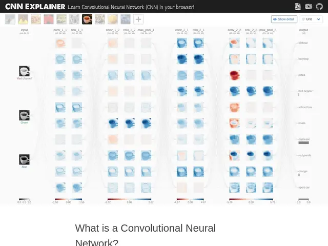 Preview of CNN Explainer