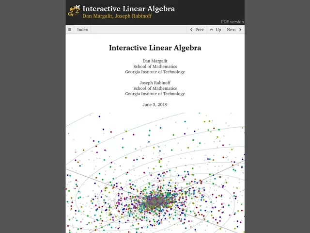 Preview of Interactive Linear Algebra