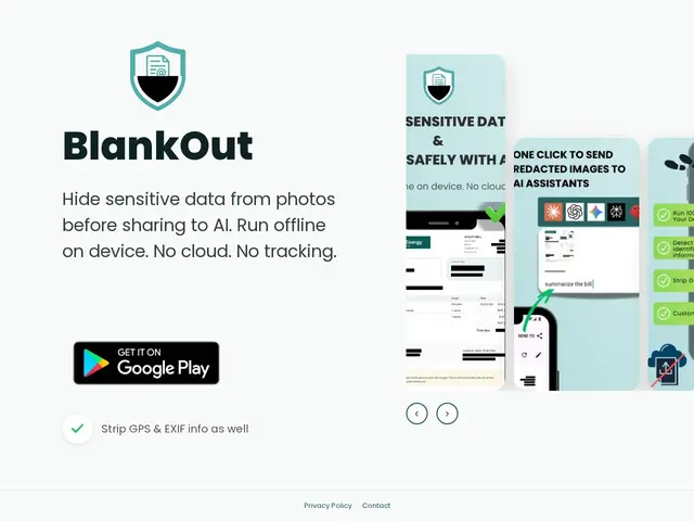 Preview of BlankOut