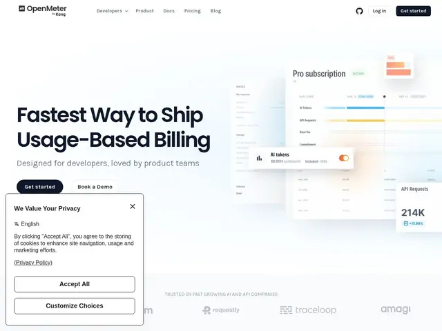 Preview of OpenMeter