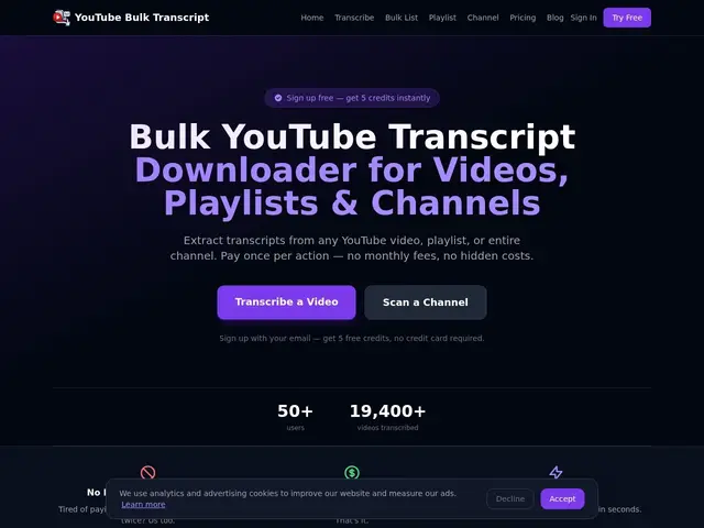Preview of YouTube Bulk Transcript