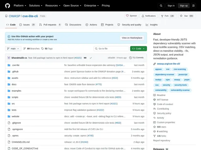 Preview of CVE Lite CLI